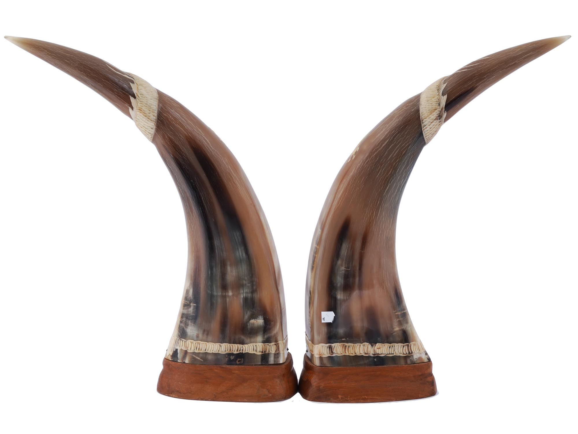 PAIR OF THAI BUFFALO HORNS WITH CARVED DRAGONS PIC-